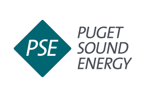 PSE_Logo_600x400_2026